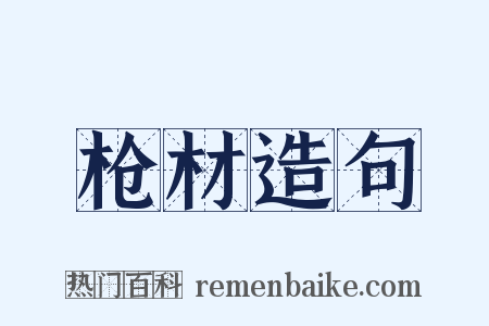 枪材造句是什么意思的图片
